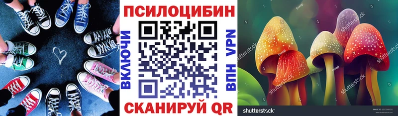 ссылка на мегу зеркало  Сольцы  Псилоцибиновые грибы MAGIC MUSHROOMS 